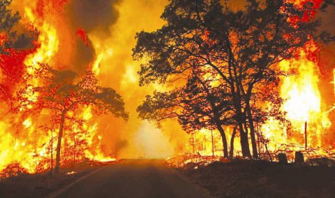 亚马逊雨林火灾频发，1月起至今超7.2万起火灾