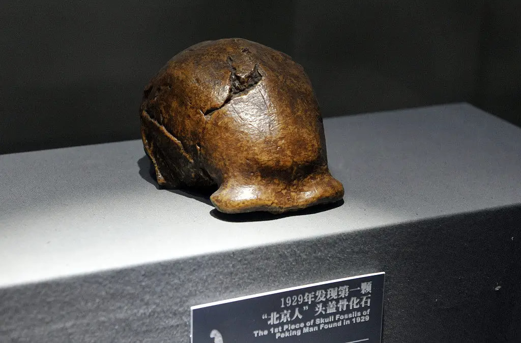 1929年发现第一颗”北京人“头盖骨化石